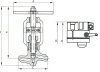 Клапан запорный 1с-12-1Э DN 10 мм PN 250 кгс/см2