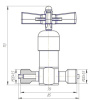 Клапан запорный ВИГ250-С1Б1Б DN 5 мм PN 250 кгс/см2